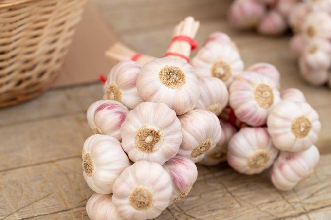 Ail Rose de Lautrec Label Rouge 500g