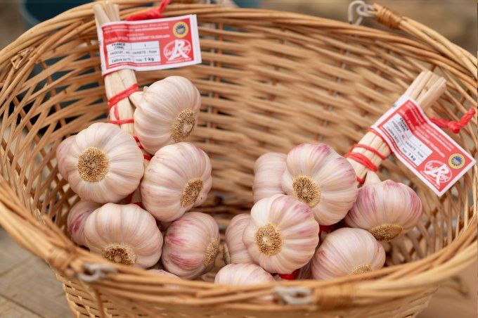Ail Rose de Lautrec Label Rouge 500g