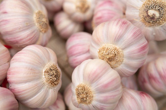 Ail rose de Lautrec Label Rouge 1kg