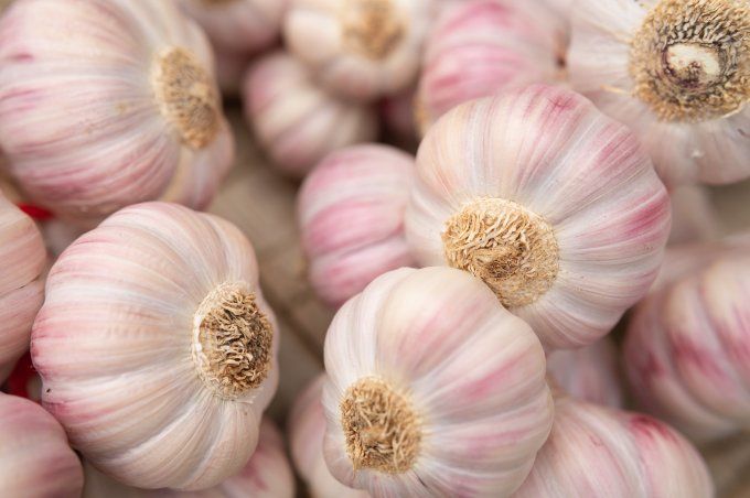 Ail Rose de Lautrec Label Rouge 500g